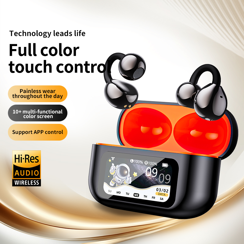 AI Translation Headphones True – Usb C Earphone Bewertung und Preis